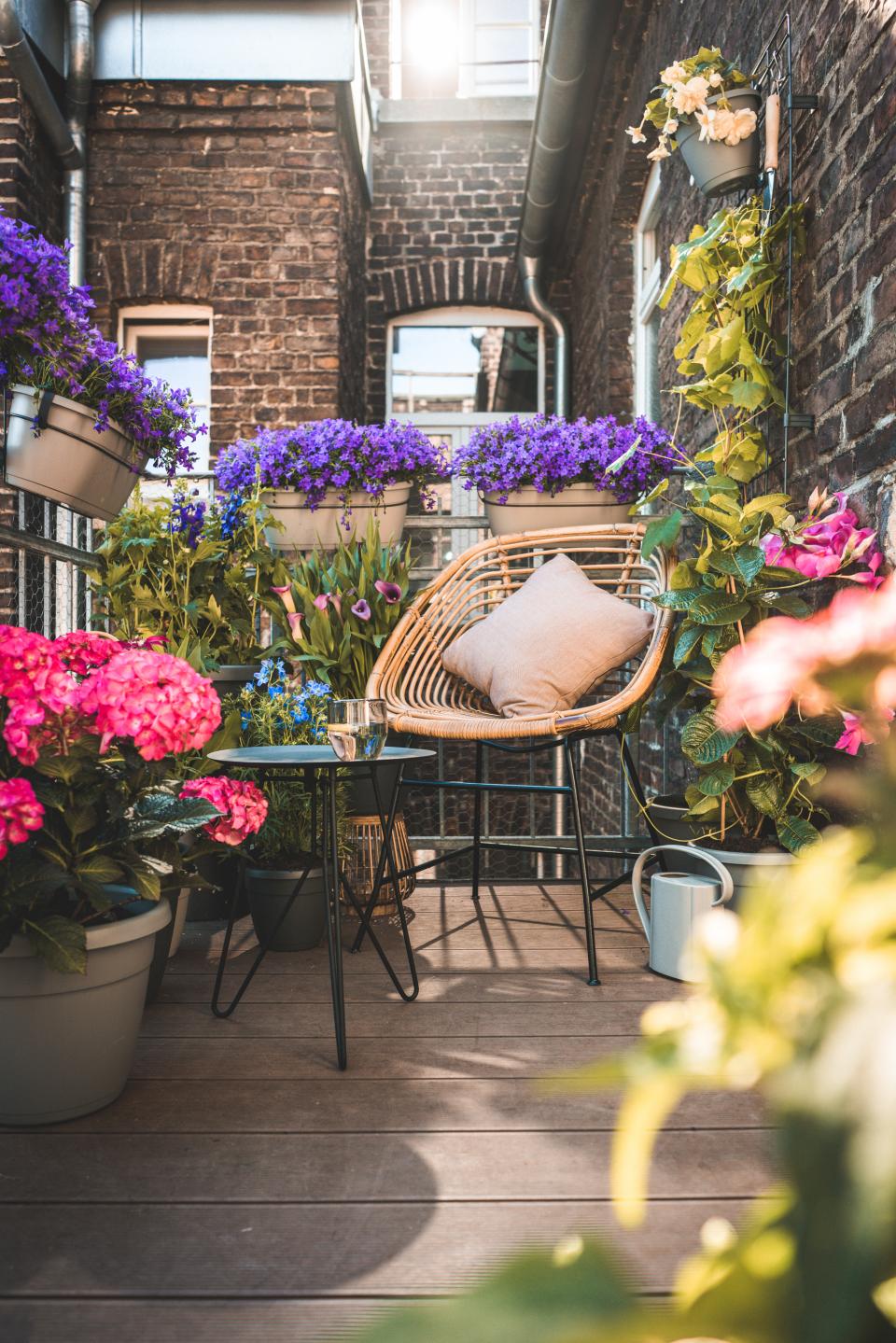 Een zomertuin of -balkon die bijdraagt aan de biodiversiteit | Mooiwatplantendoen