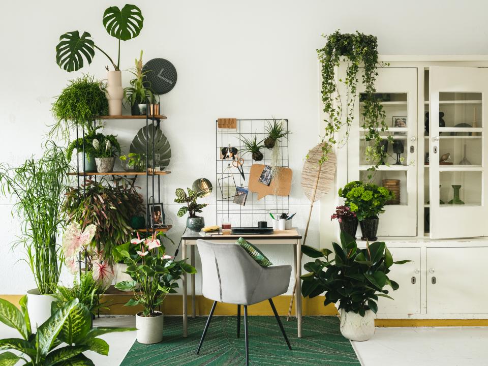 hangplanten kantoor | home office met planten