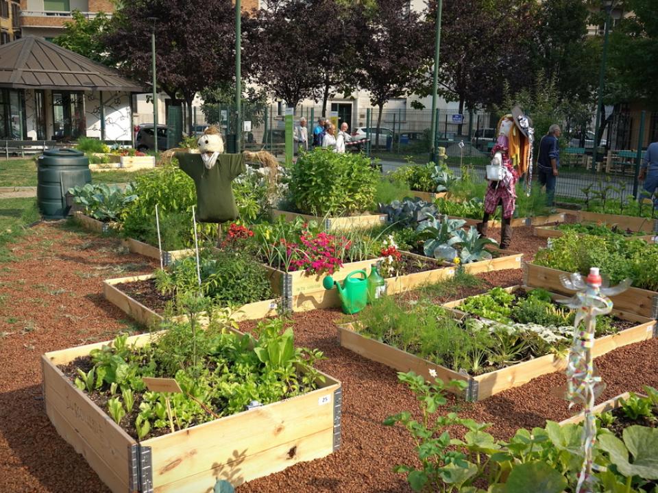 Inactief Berri Integratie Stadslandbouw: eetbaar groen tussen beton en asfalt | Mooi wat planten doen