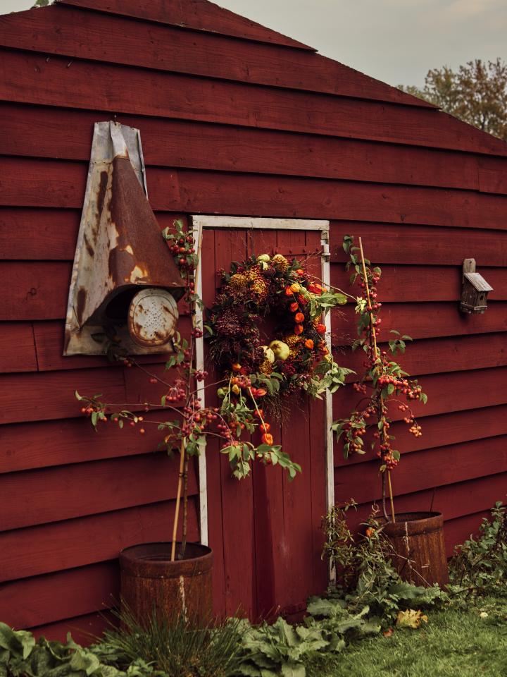 herfstkrans | bloemenkrans herfst | herfstplanten DIY