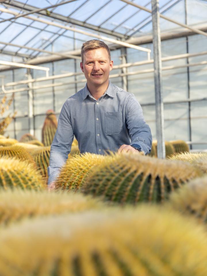 ubink cactussen kijkje in de kas