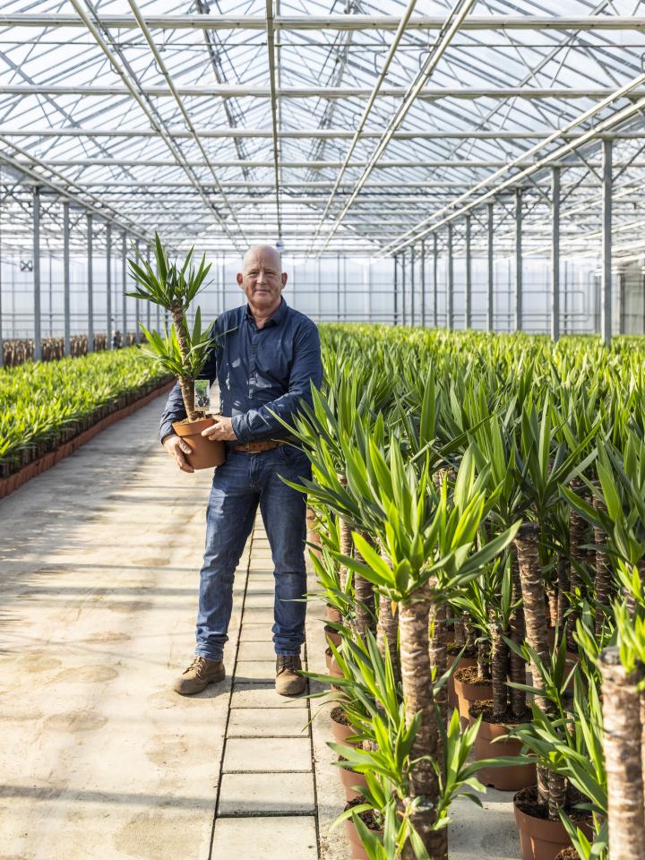 green is all | yucca in kas | kijkje bij kweker