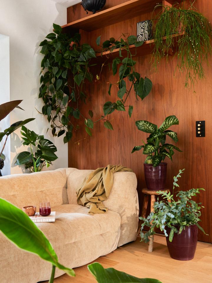 kamerplanten styling idee