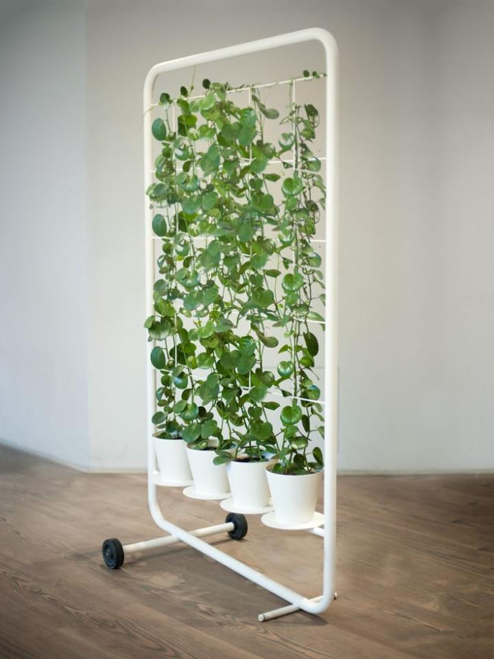 Inspiratie groene roomdividers | Mooi planten doen